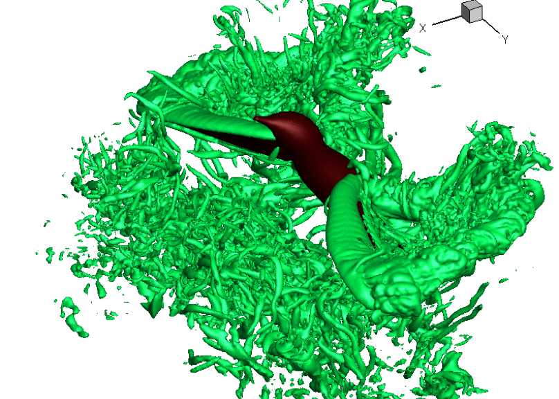 CFD_bird